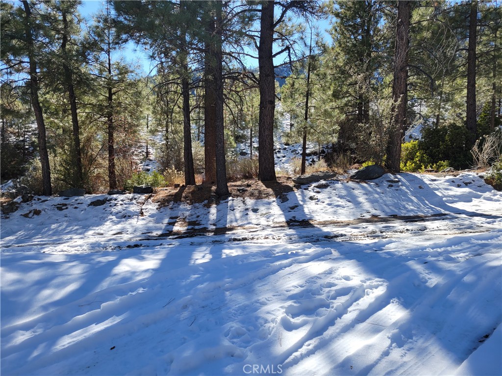 0 Blackbird Property Photo 4