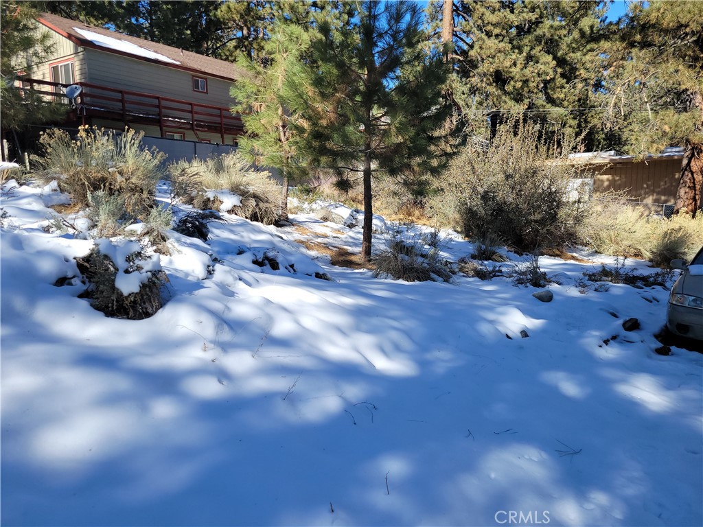 0 Blackbird Property Photo 5