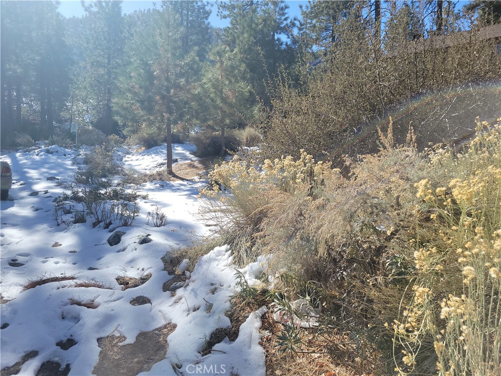 0 Blackbird Property Photo 10