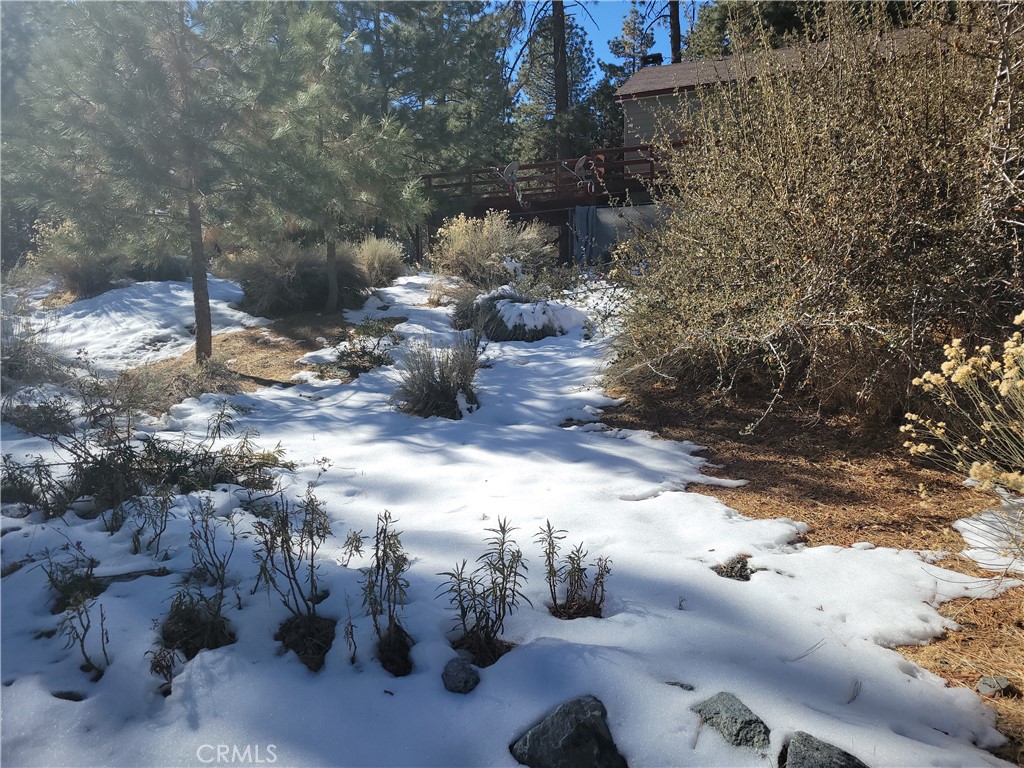0 Blackbird Property Photo 12