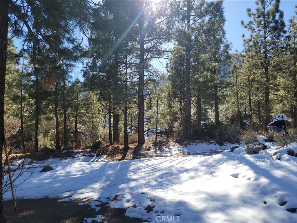 0 Blackbird Property Photo 13