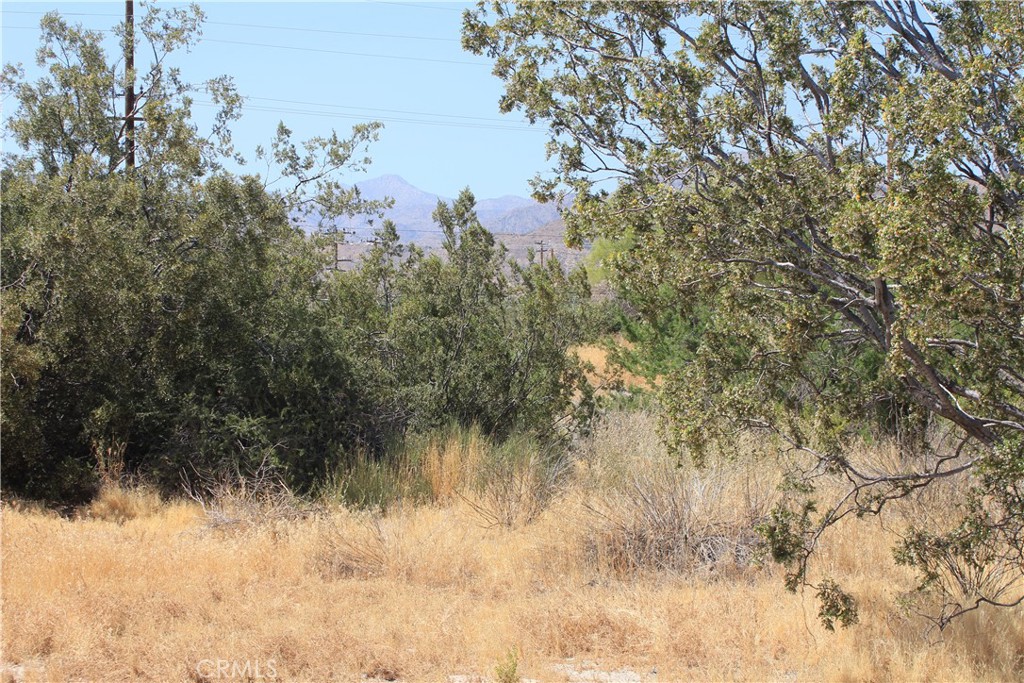 700 Twentynine Palms Property Photo 11