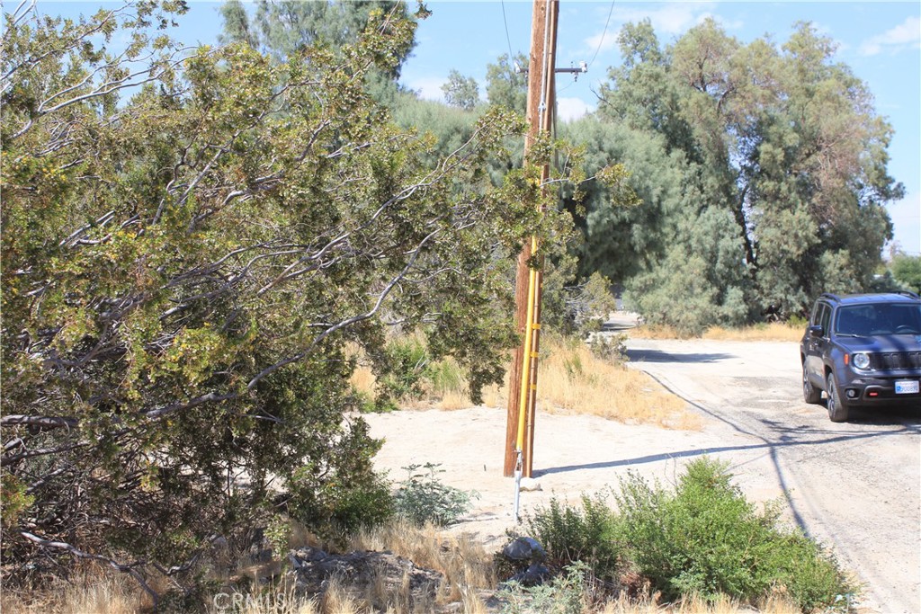 700 Twentynine Palms Property Photo 13