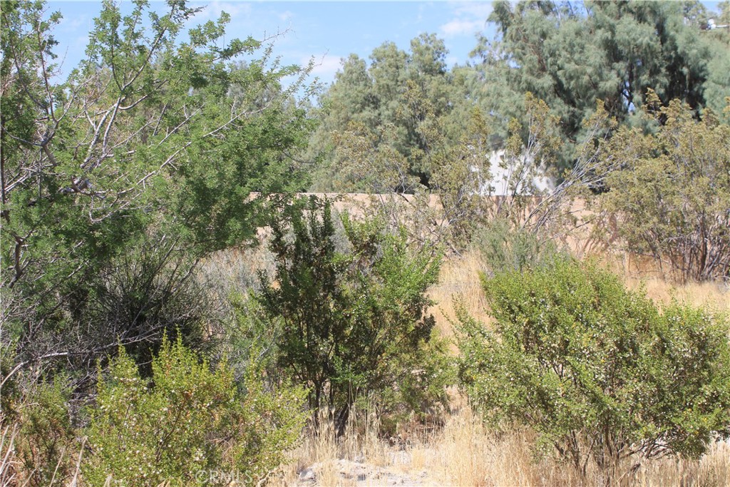 700 Twentynine Palms Property Photo 15