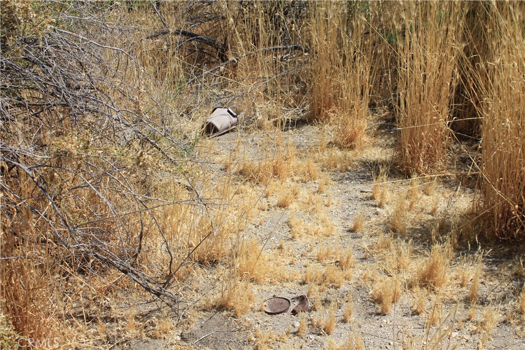 700 Twentynine Palms Property Photo 17