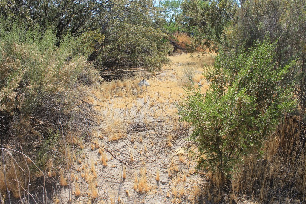 700 Twentynine Palms Property Photo 19