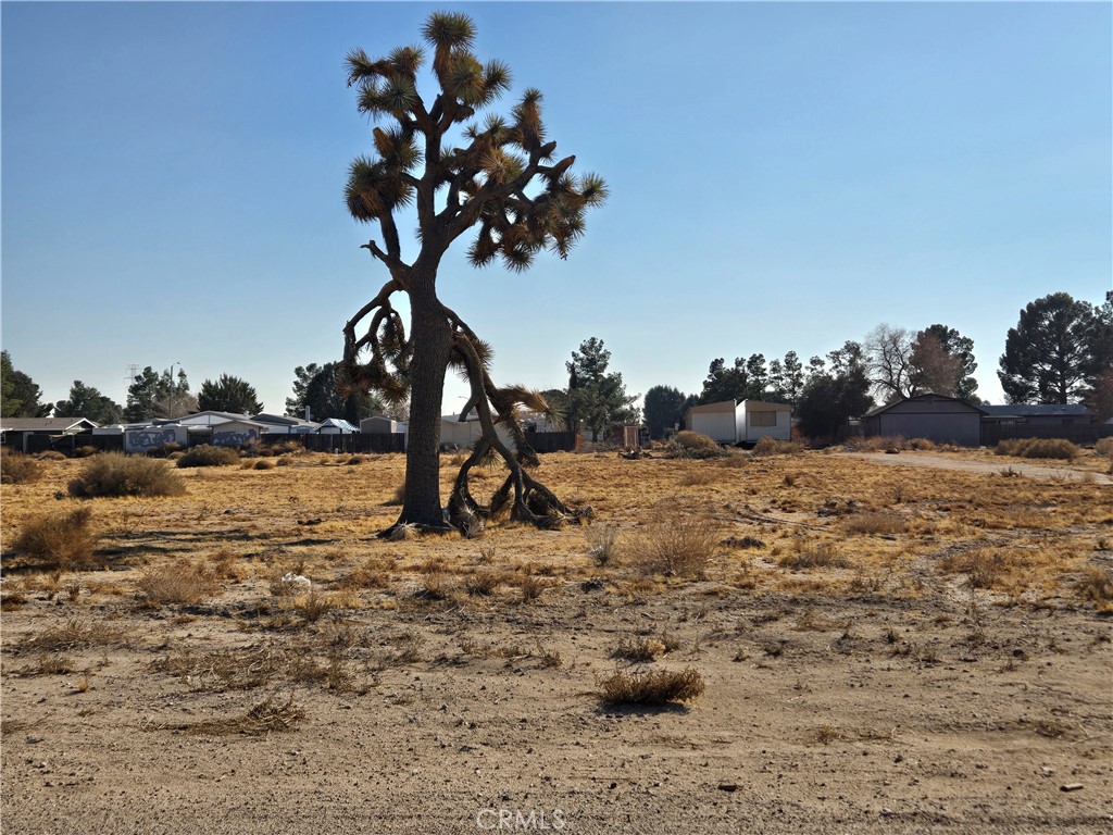 0 El Mirage 0459-521-75 Road Property Photo 3