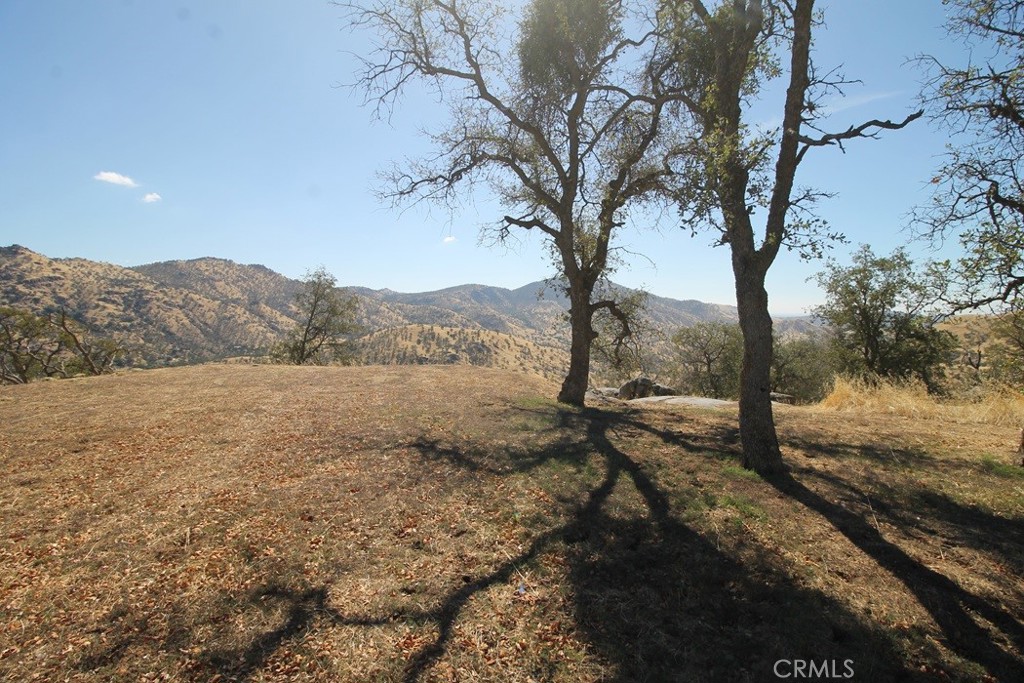 35616 Arrowhead Lane Property Photo 8