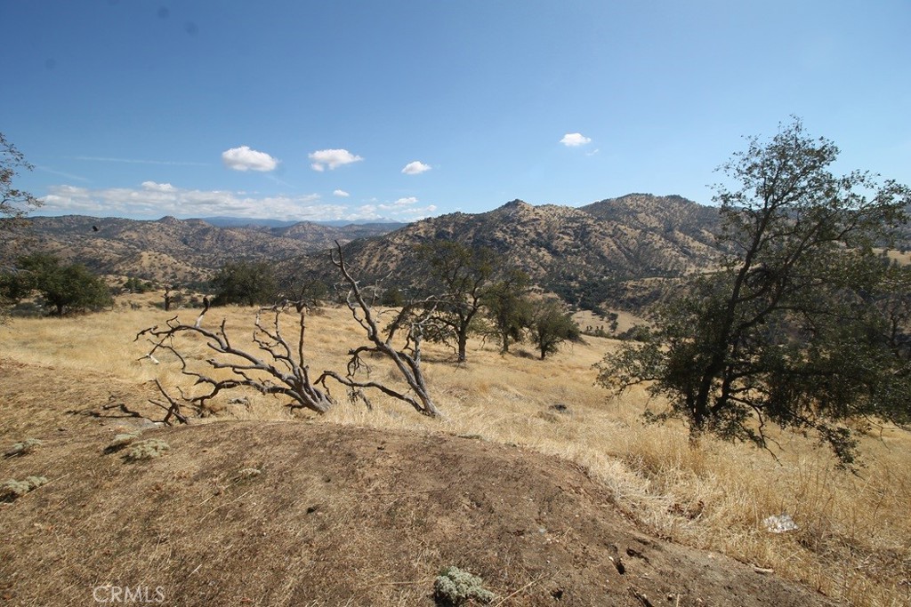 35616 Arrowhead Lane Property Photo 14