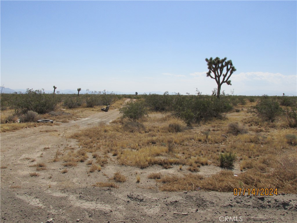 0 Richardson Property Photo 3