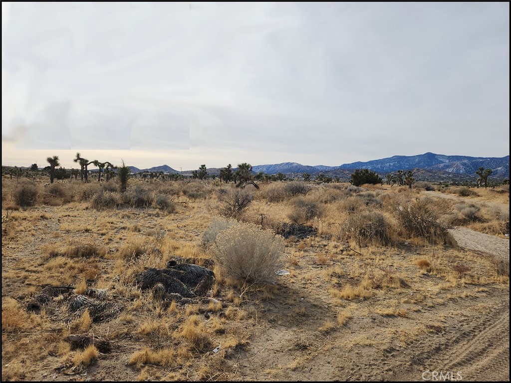 0 Lebec Rd & Yucca Terrace Property Photo 8