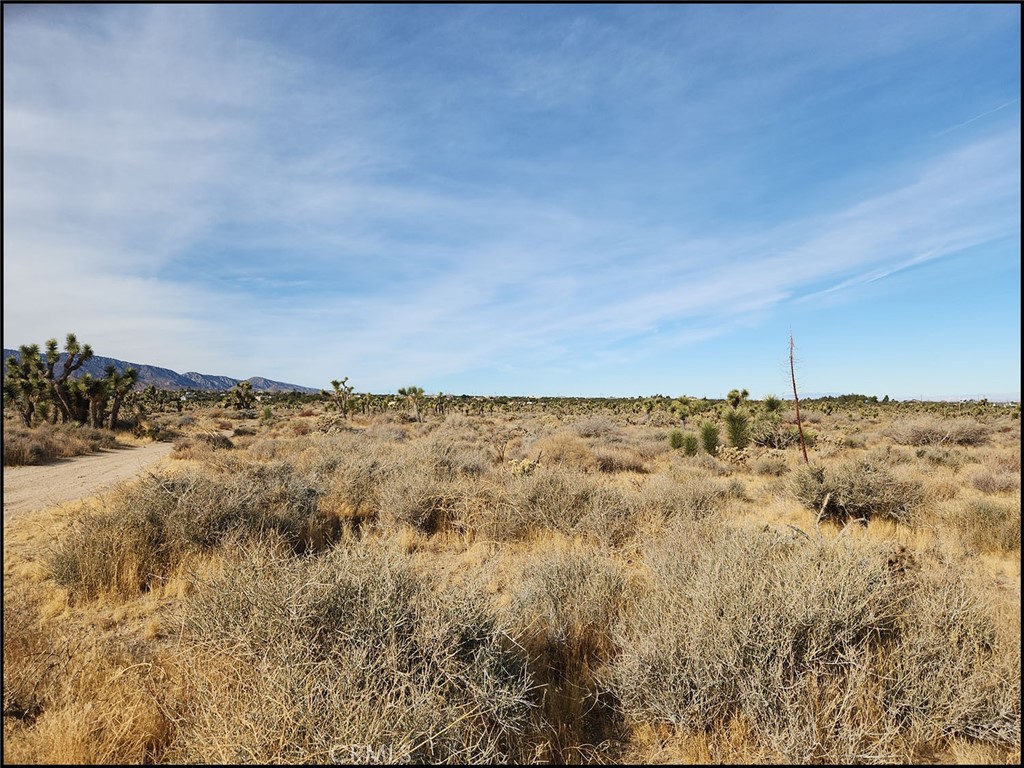 0 Lebec Rd & Yucca Terrace Property Photo 11