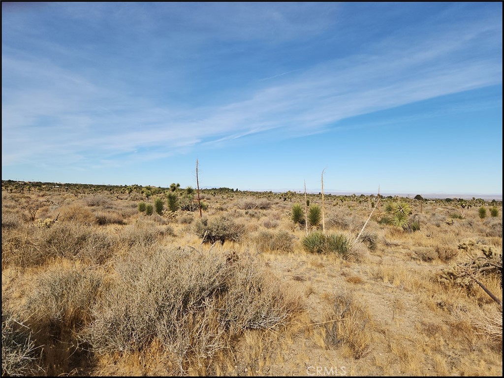 0 Lebec Rd & Yucca Terrace Property Photo 12