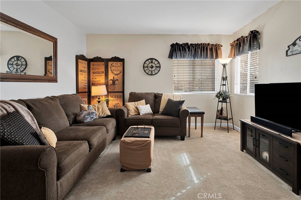 13372 Sunny Ridge Street Property Photo 45
