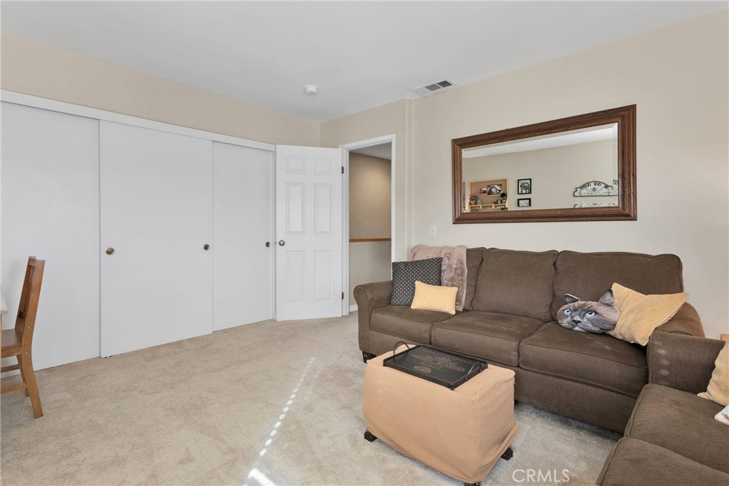 13372 Sunny Ridge Street Property Photo 46
