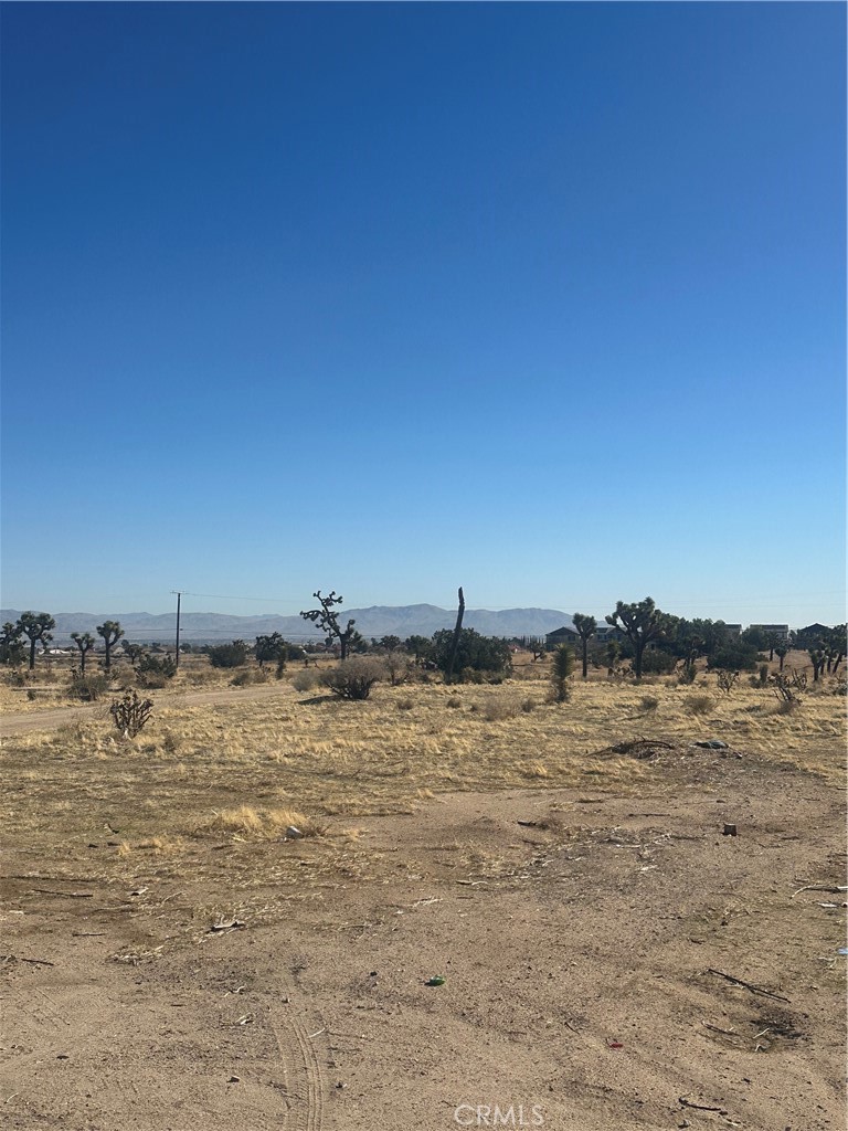 0 Datura Road Property Photo 1