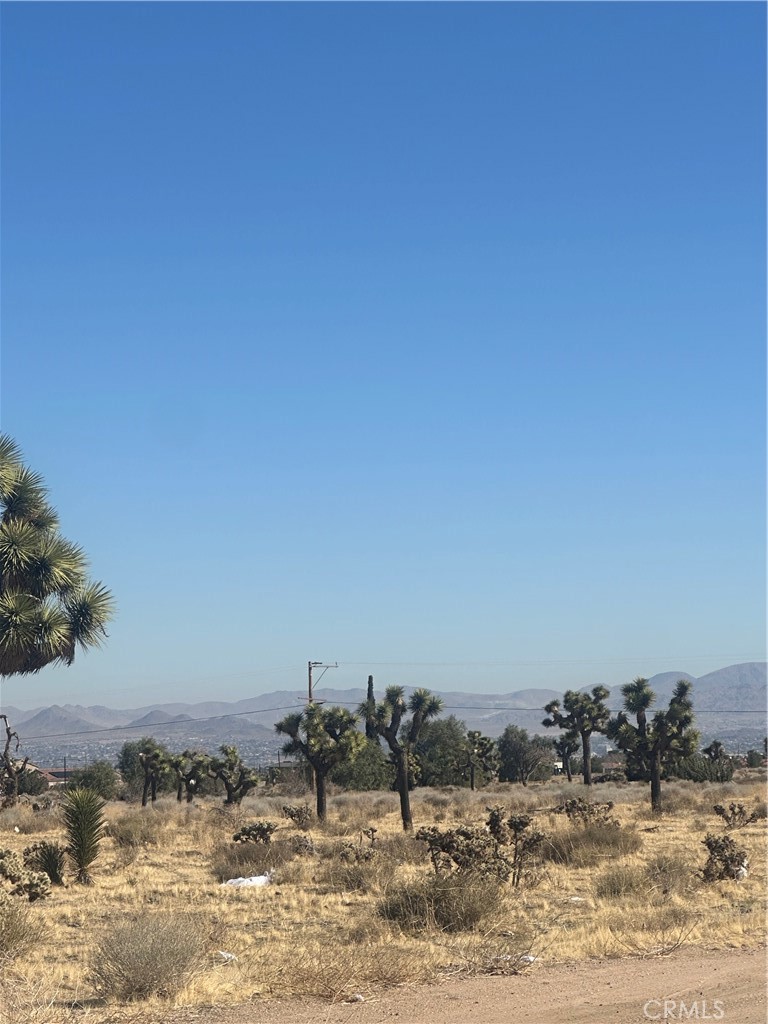0 Datura Road Property Photo 4