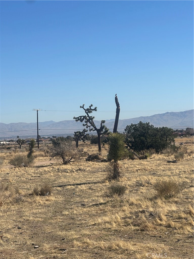 0 Datura Road Property Photo 7