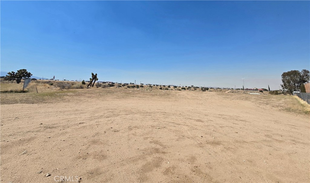 90169 Sf Palm Street Property Photo