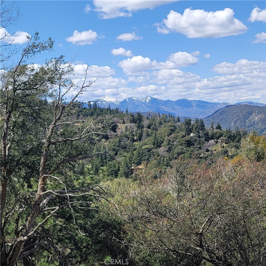 3430247 Mojave View Drive Property Photo 5