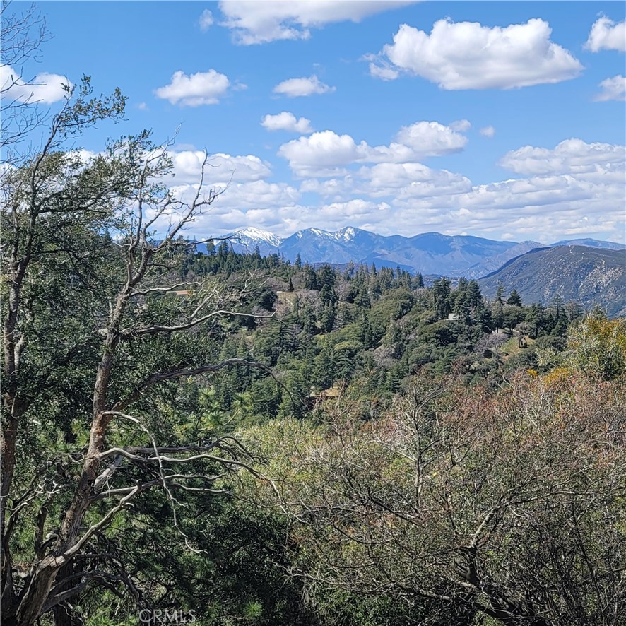 3430247 Mojave View Drive Property Photo 5