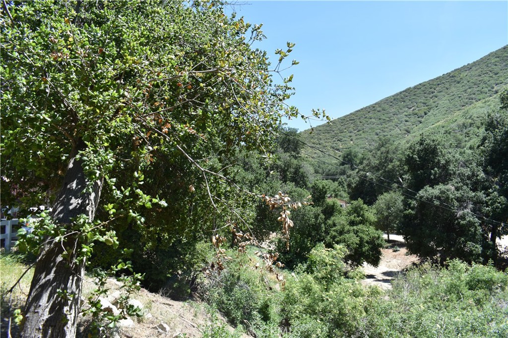 0 Vac Calle El Baranco/vic Spunk Property Photo 4