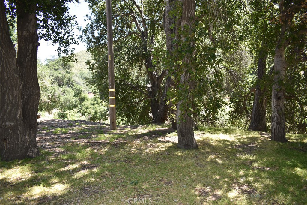 0 Vac Calle El Baranco/vic Spunk Property Photo 13