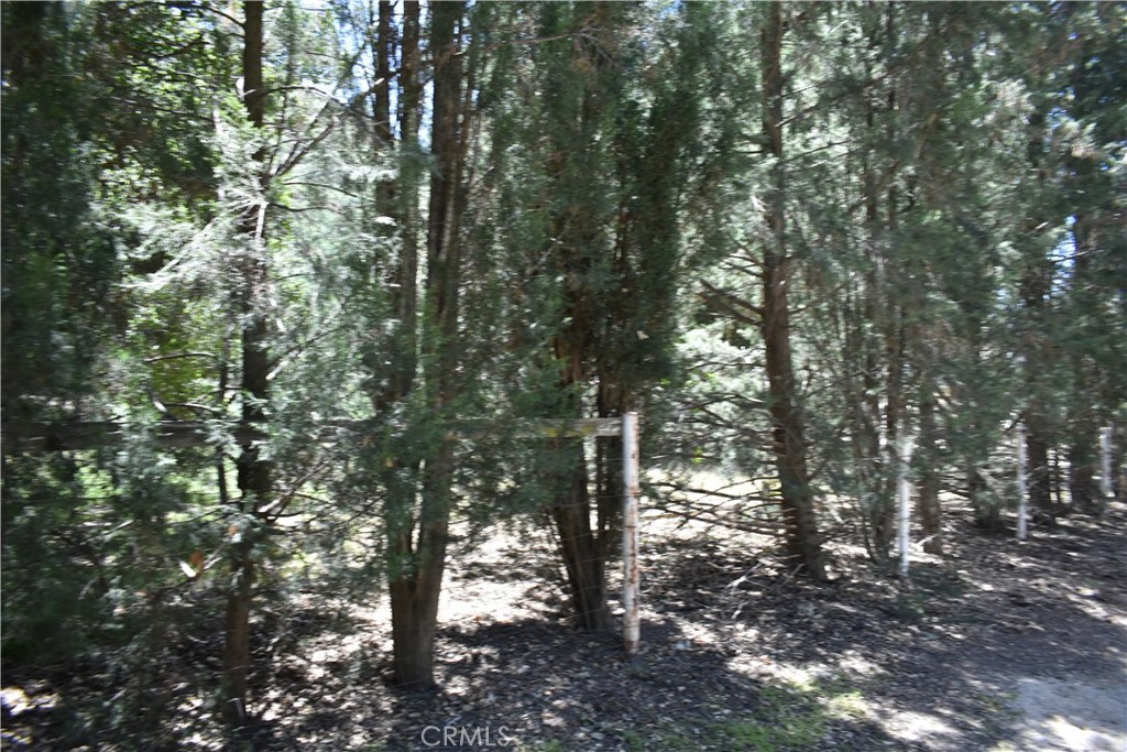 0 Vac Calle El Baranco/vic Spunk Property Photo 17