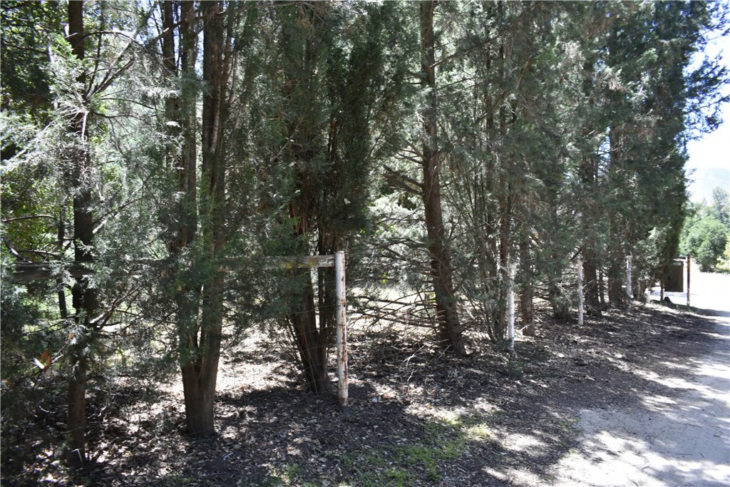 0 Vac Calle El Baranco/vic Spunk Property Photo 19