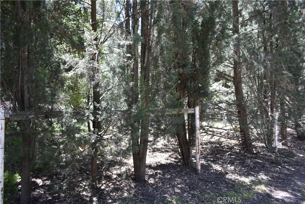 0 Vac Calle El Baranco/vic Spunk Property Photo 20