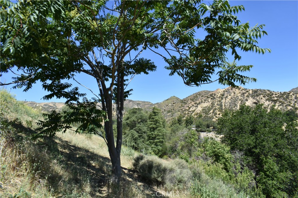 0 Off Off San Martinez Rd Property Photo 2