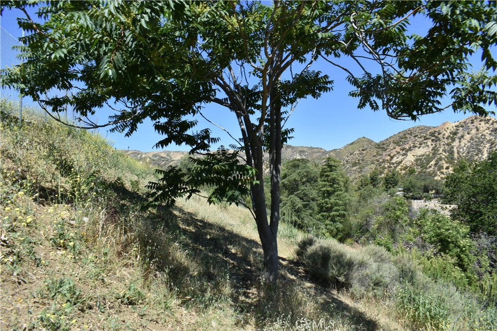 0 Off Off San Martinez Rd Property Photo 3