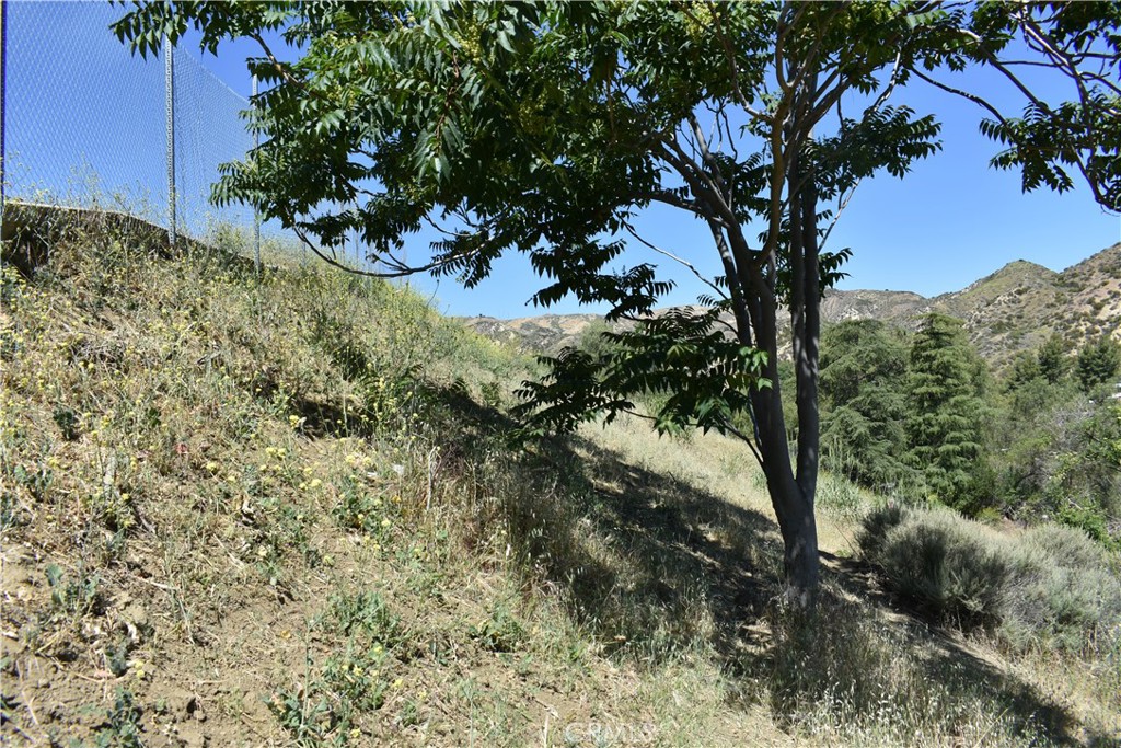 0 Off Off San Martinez Rd Property Photo 4