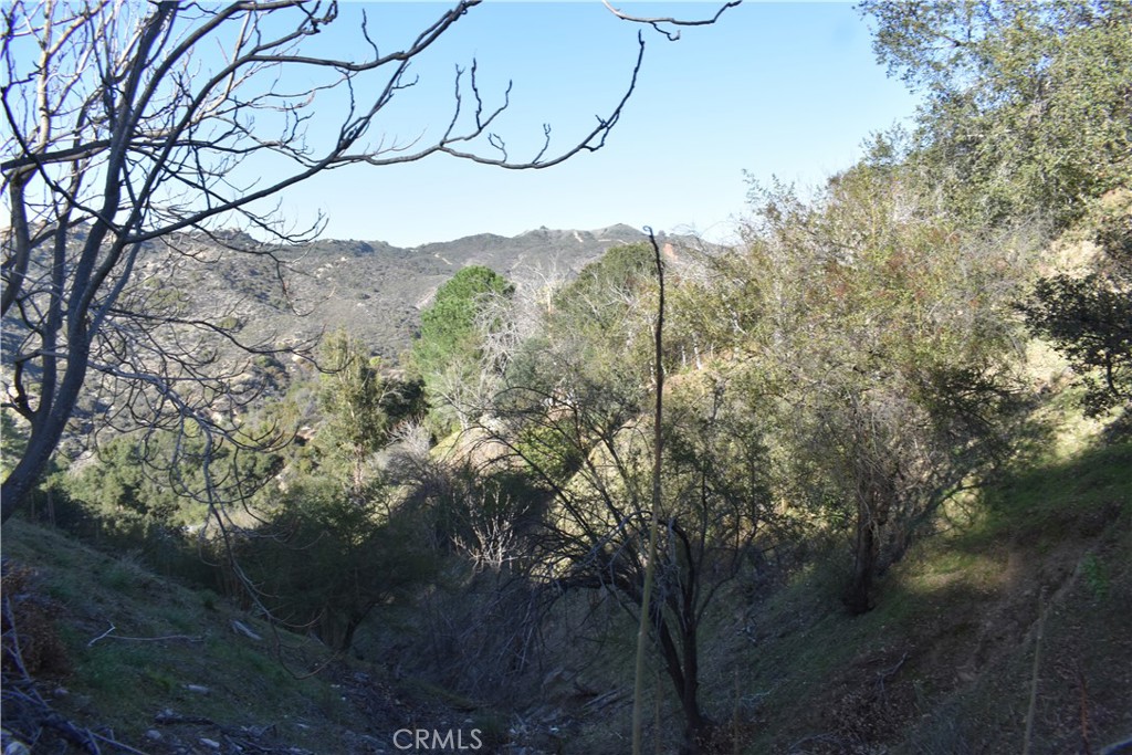 29935 Hickory Dr Property Photo 1