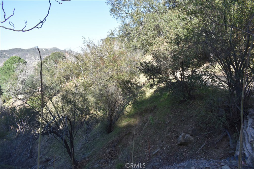 0 Crest Forest Dr Property Photo 1