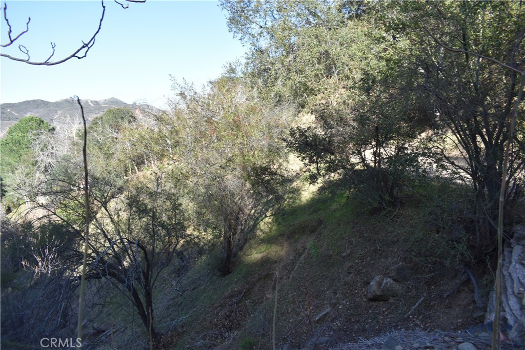 0 Crest Forest Dr Property Photo 1
