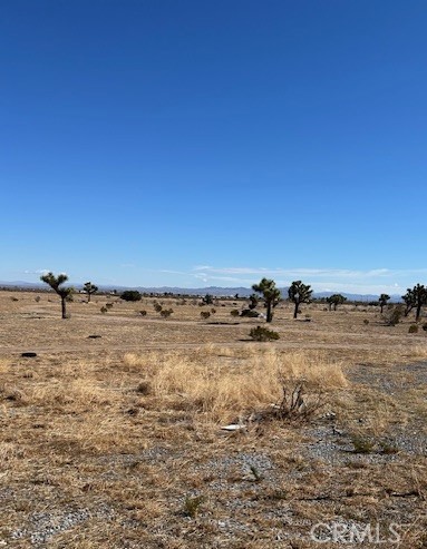 4 Alpine Court Property Photo