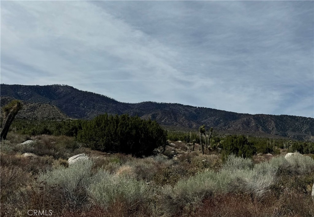 Llo Llano Real Estate Listings Main Image