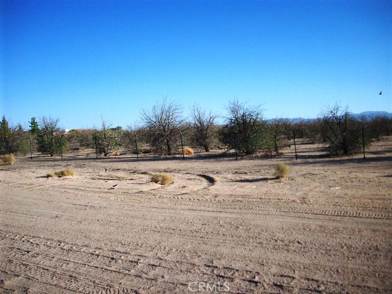 45527 Twin Lakes Drive Property Photo 2