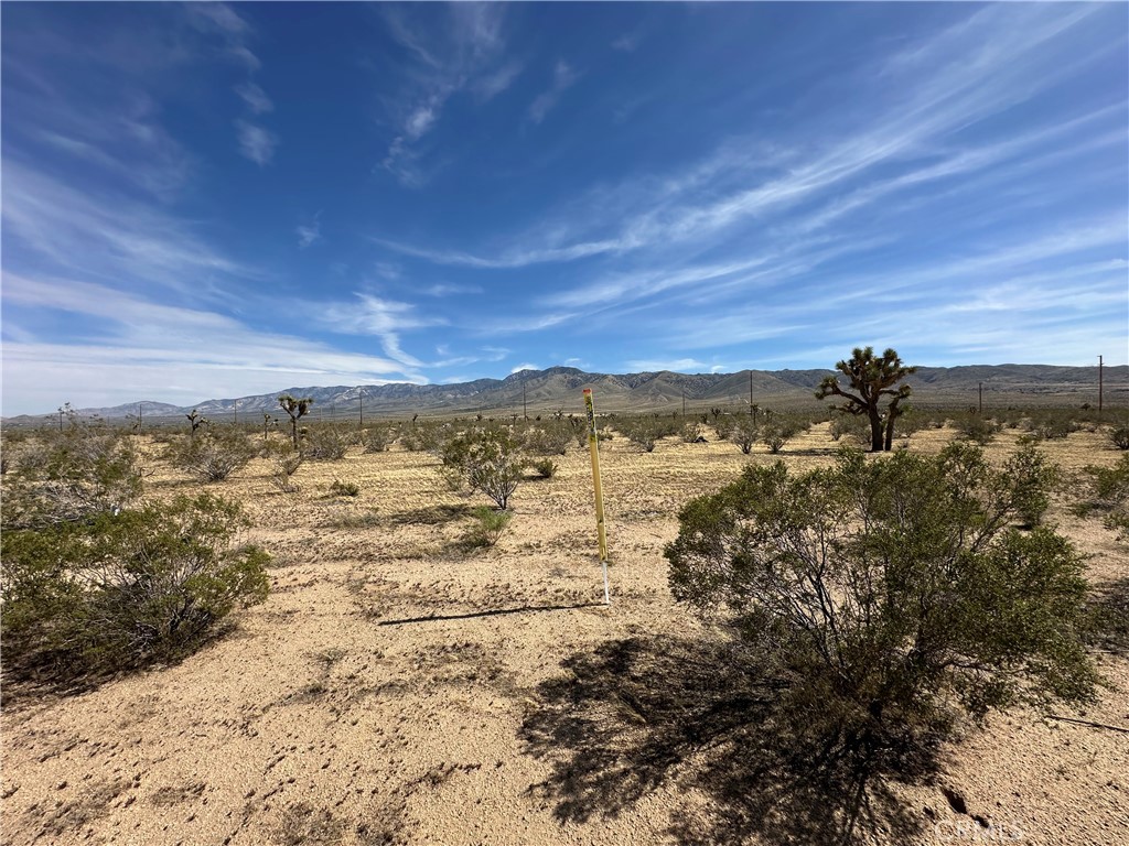 12 Canyon View Road Property Photo 8