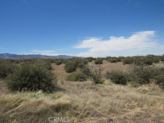 Phelan Real Estate Listings Main Image