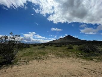 25 Falchion Avenue Property Photo