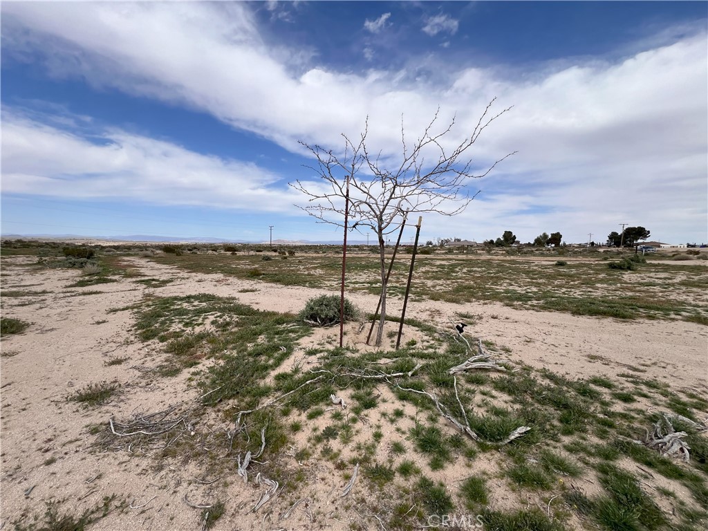 0 Osage Street Property Photo