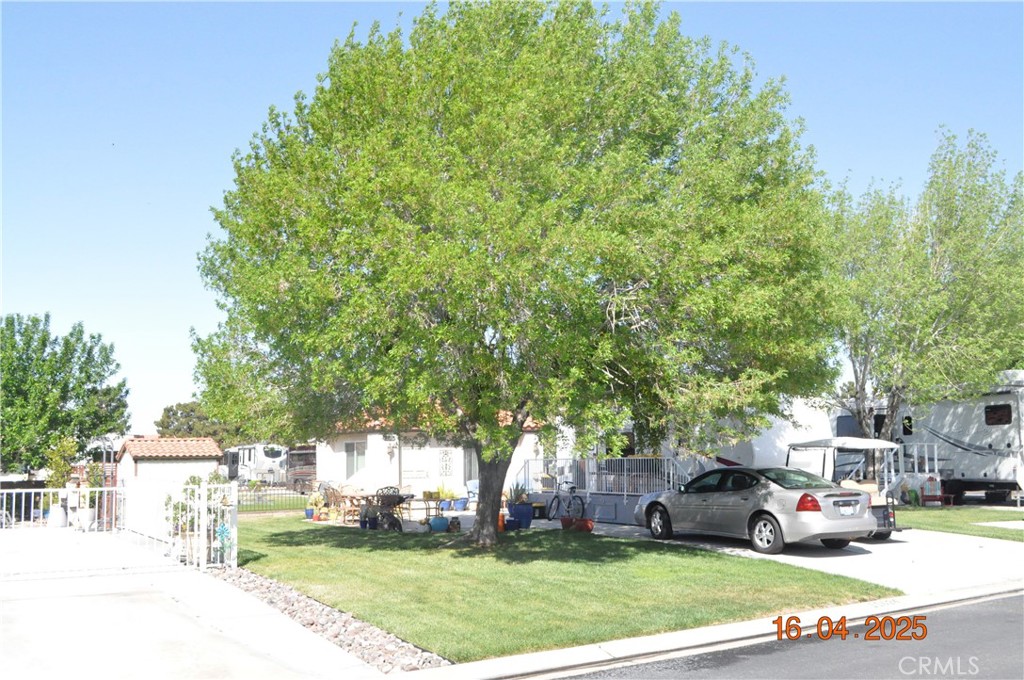 11624 Ridgemark Road Property Photo 5