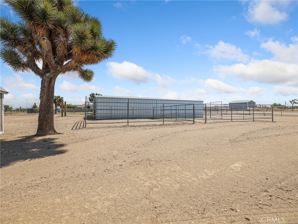 10015 Verbena Road Property Photo 51
