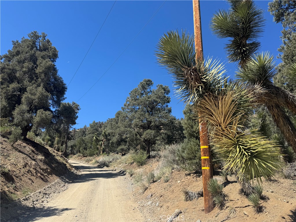41112 Jack Rabbit Road Property Photo