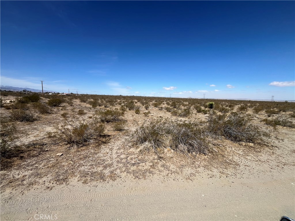 0 Buttonwood Street Property Photo 1