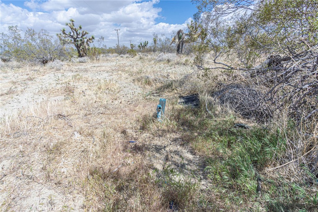 0 Bear Valley Road Property Photo 8