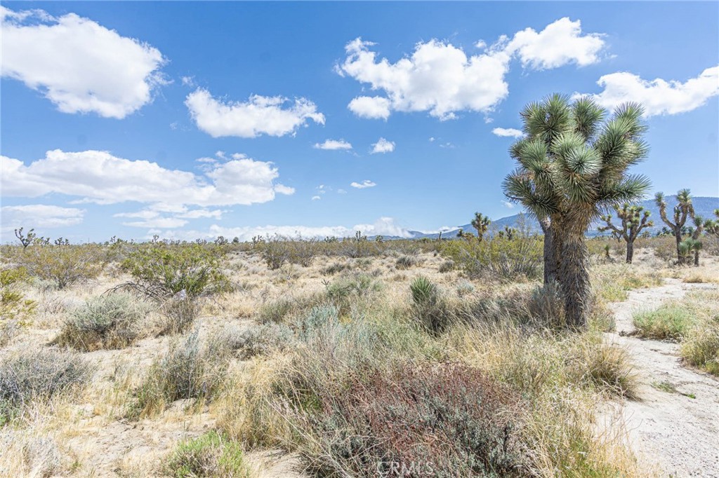 0 Bear Valley Road Property Photo 13
