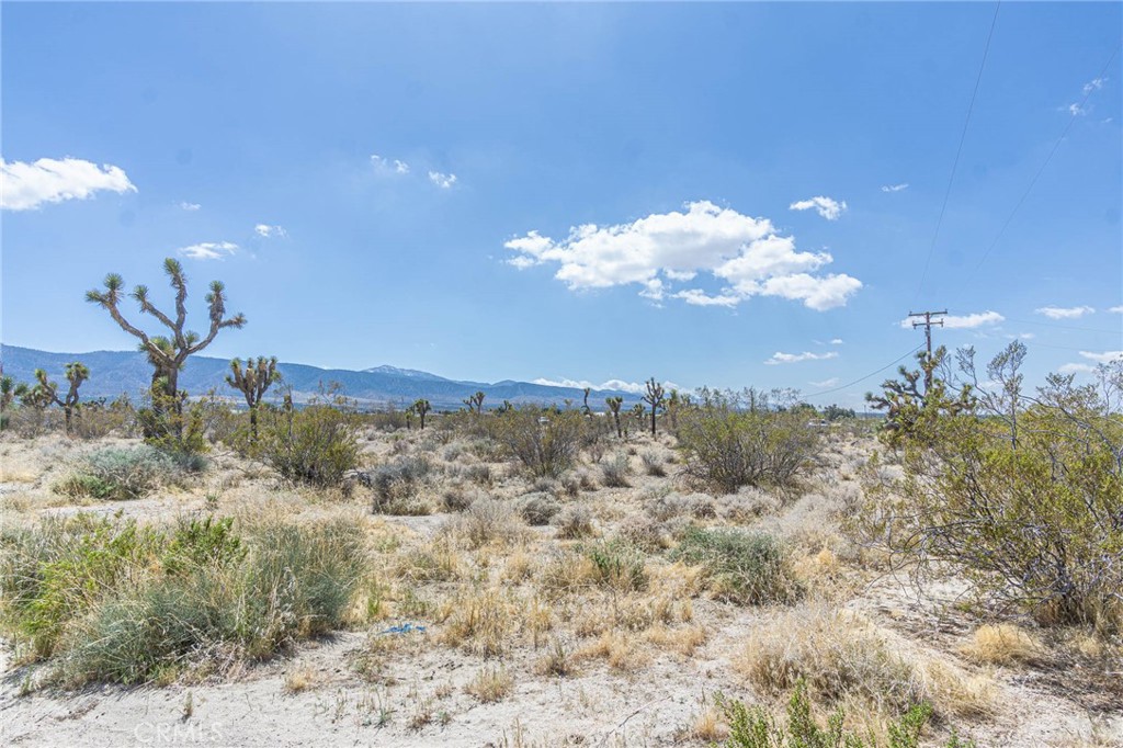 0 Bear Valley Road Property Photo 14